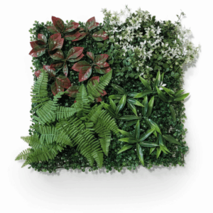 VEGETAL V6